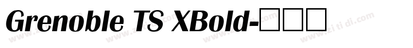 Grenoble TS XBold字体转换